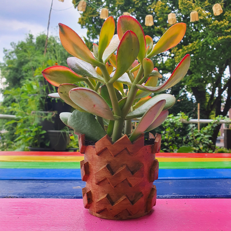 Eindhoven Vibes Flower Pot